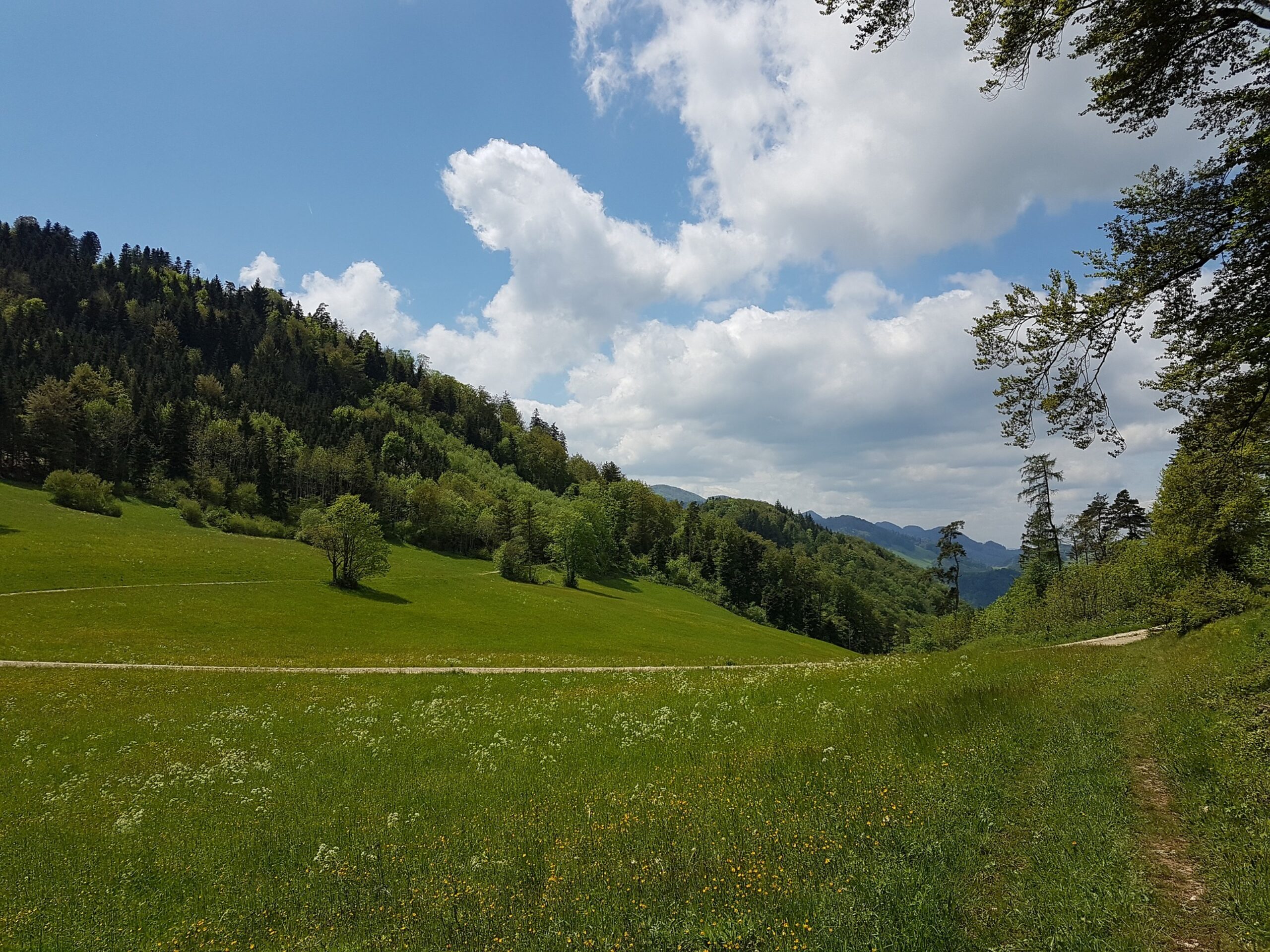 umweltbericht